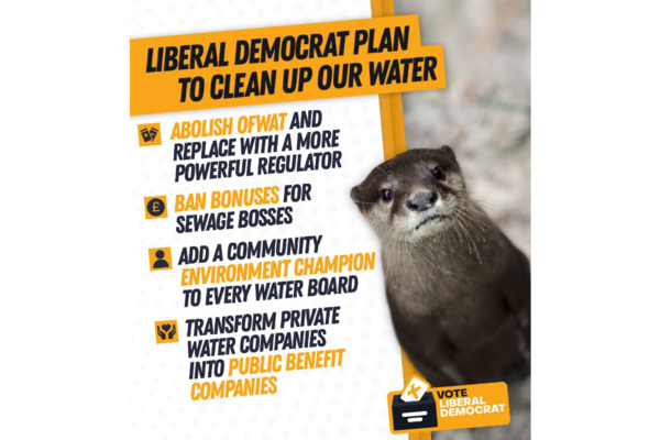 image of lib dem plan to clean up water with an otter